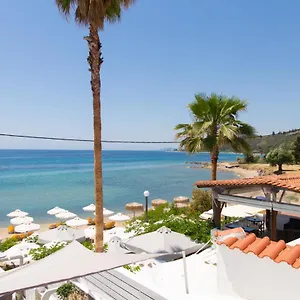 book here